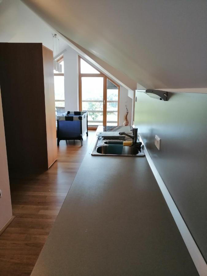 Guest House Eco Vila Mila Rogaška Slatina Екстериор снимка