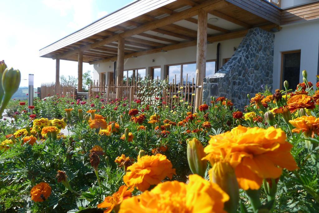 Guest House Eco Vila Mila Rogaška Slatina Екстериор снимка